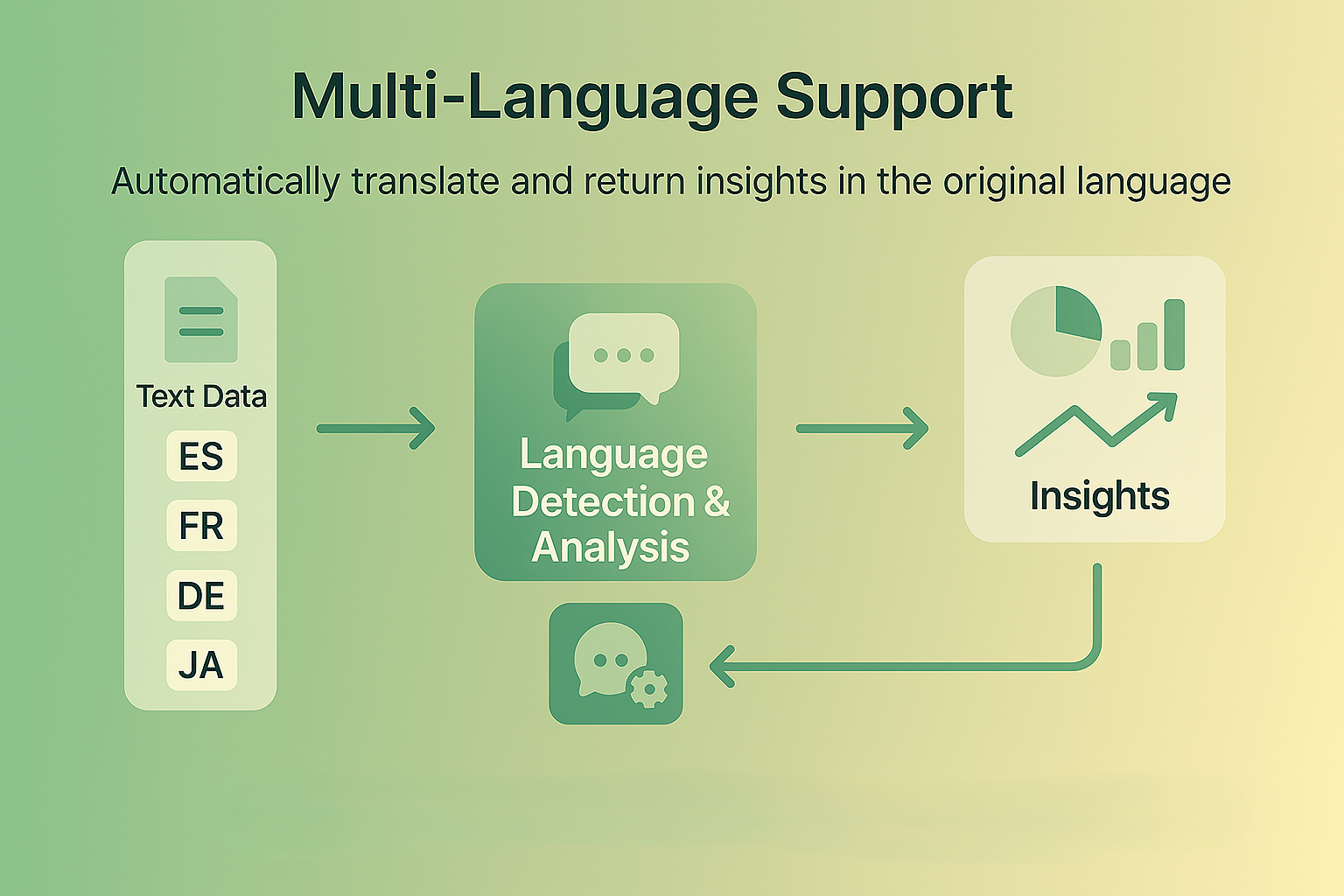 multi language1